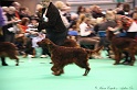 Crufts2011_2 004
